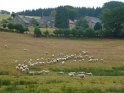 2012-09-18 16-17-36 Massif des Agriers Mbo